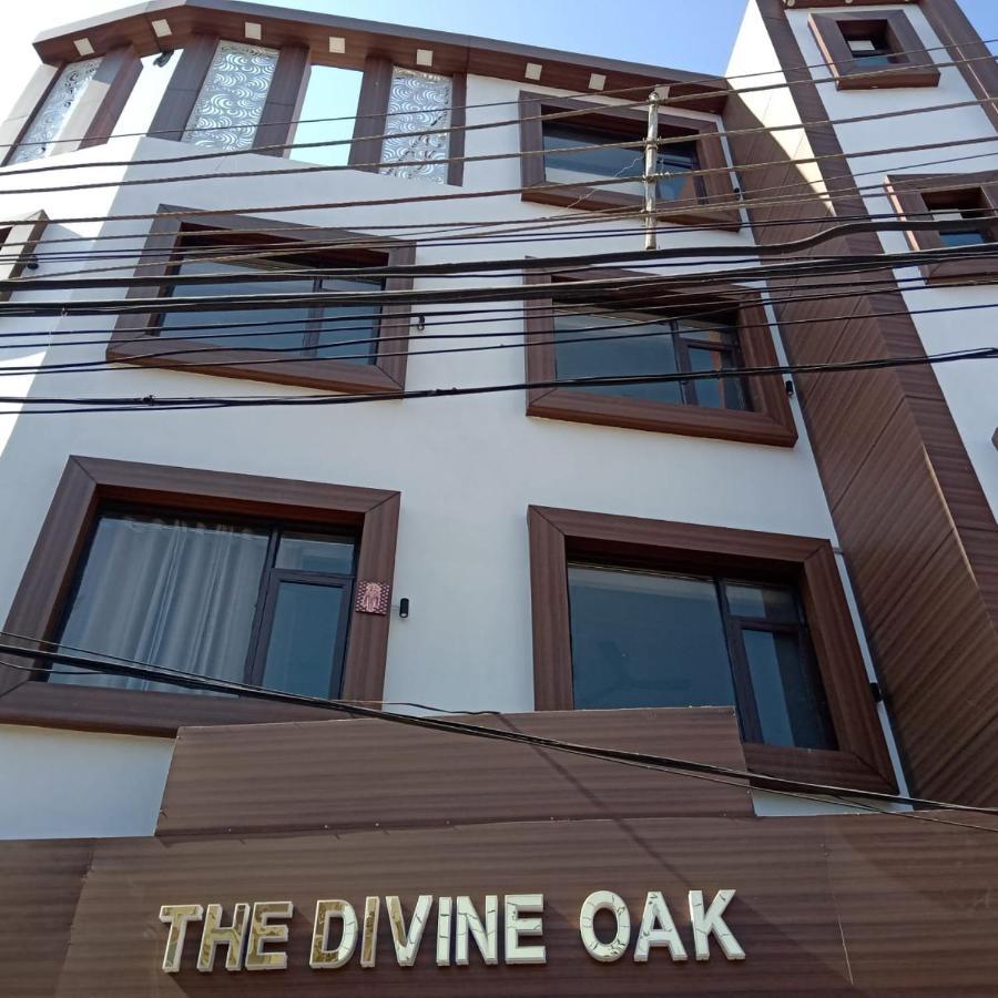 The Divine Oak Hotel Katra  Exterior photo